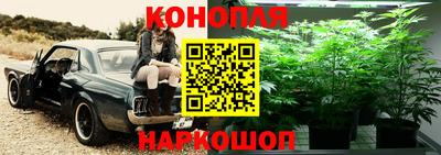 ECSTASY Будённовск