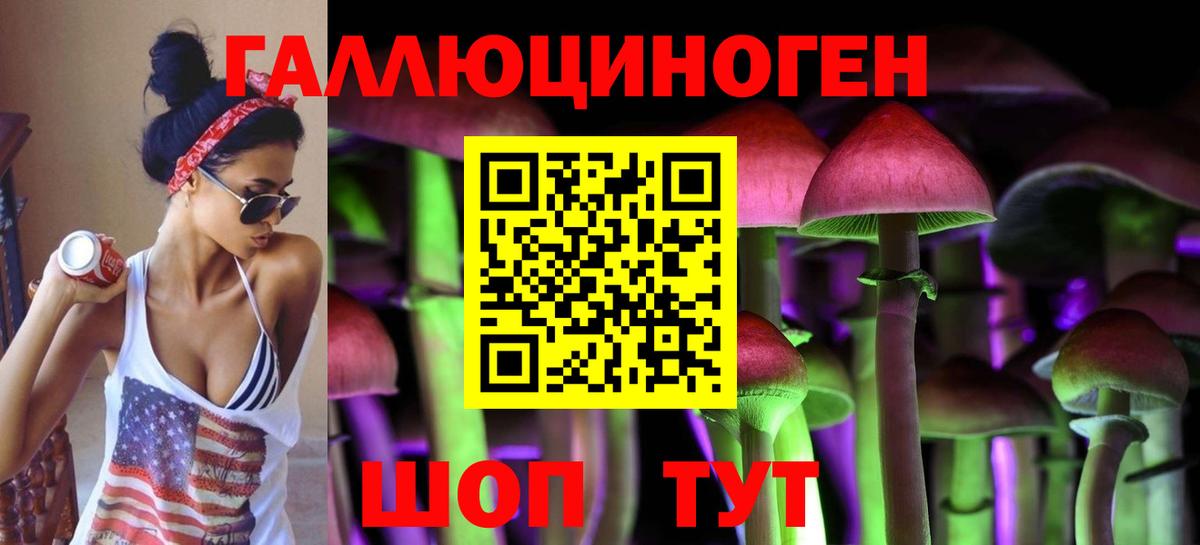 Псилоцибиновые грибы мицелий  Псилоцибиновые грибы MAGIC MUSHROOMS  Вход с VPN  Новосибирск 